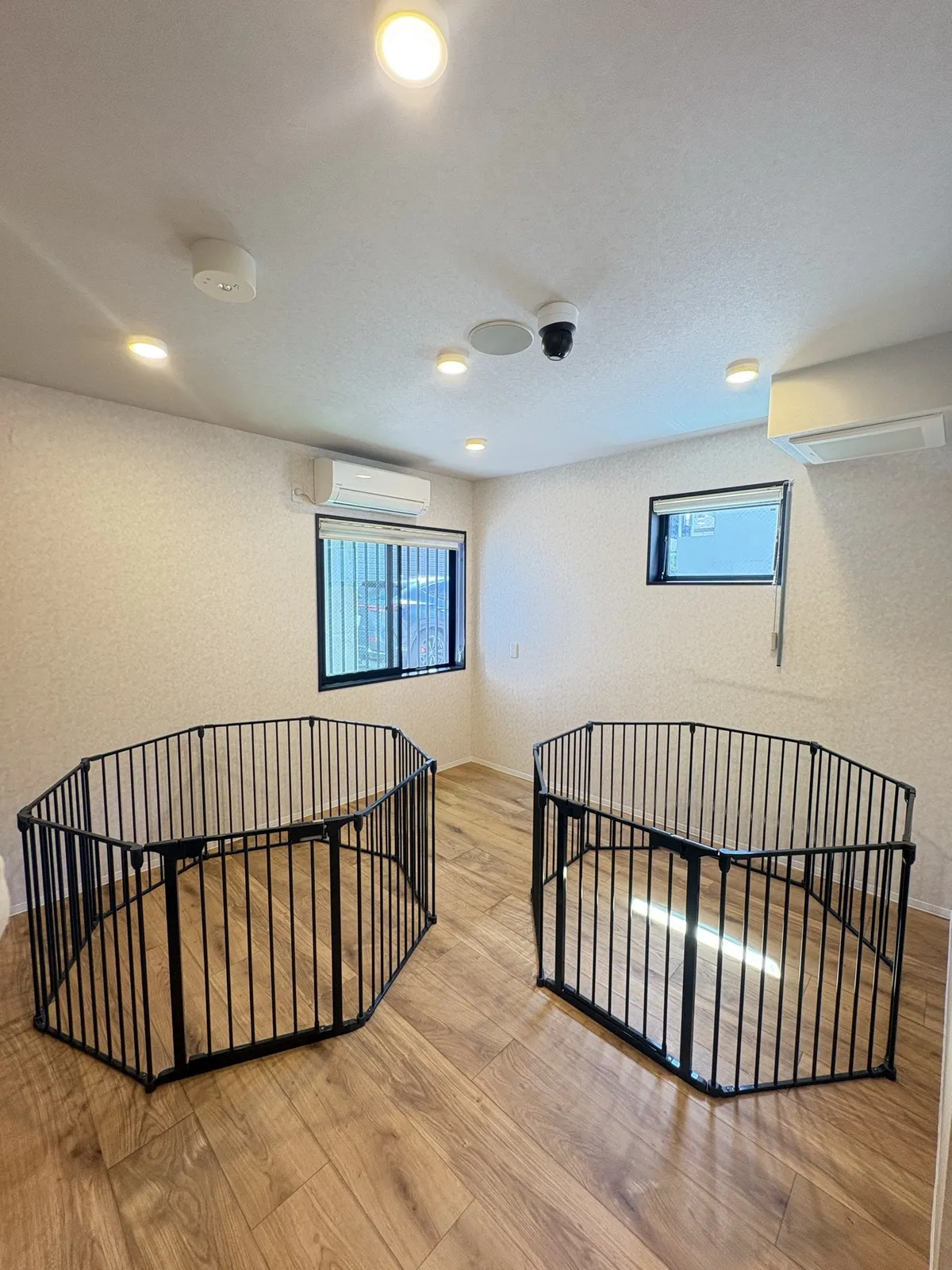 1F 小型犬ルームの内観